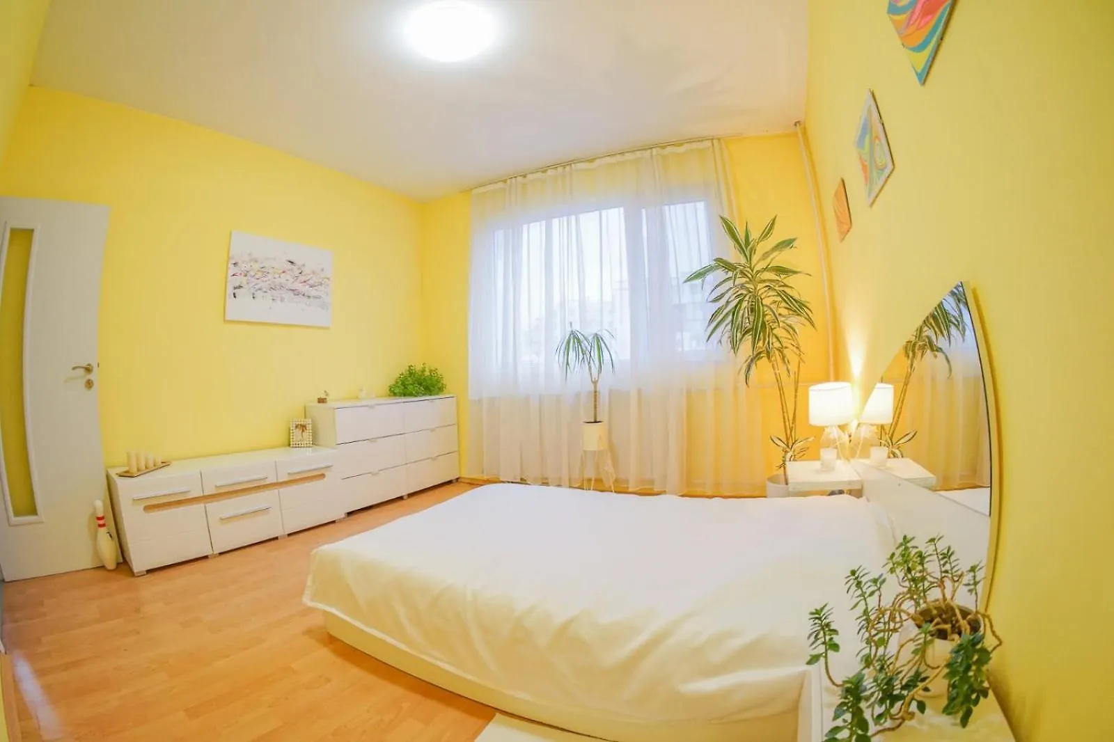 Alex Botique location